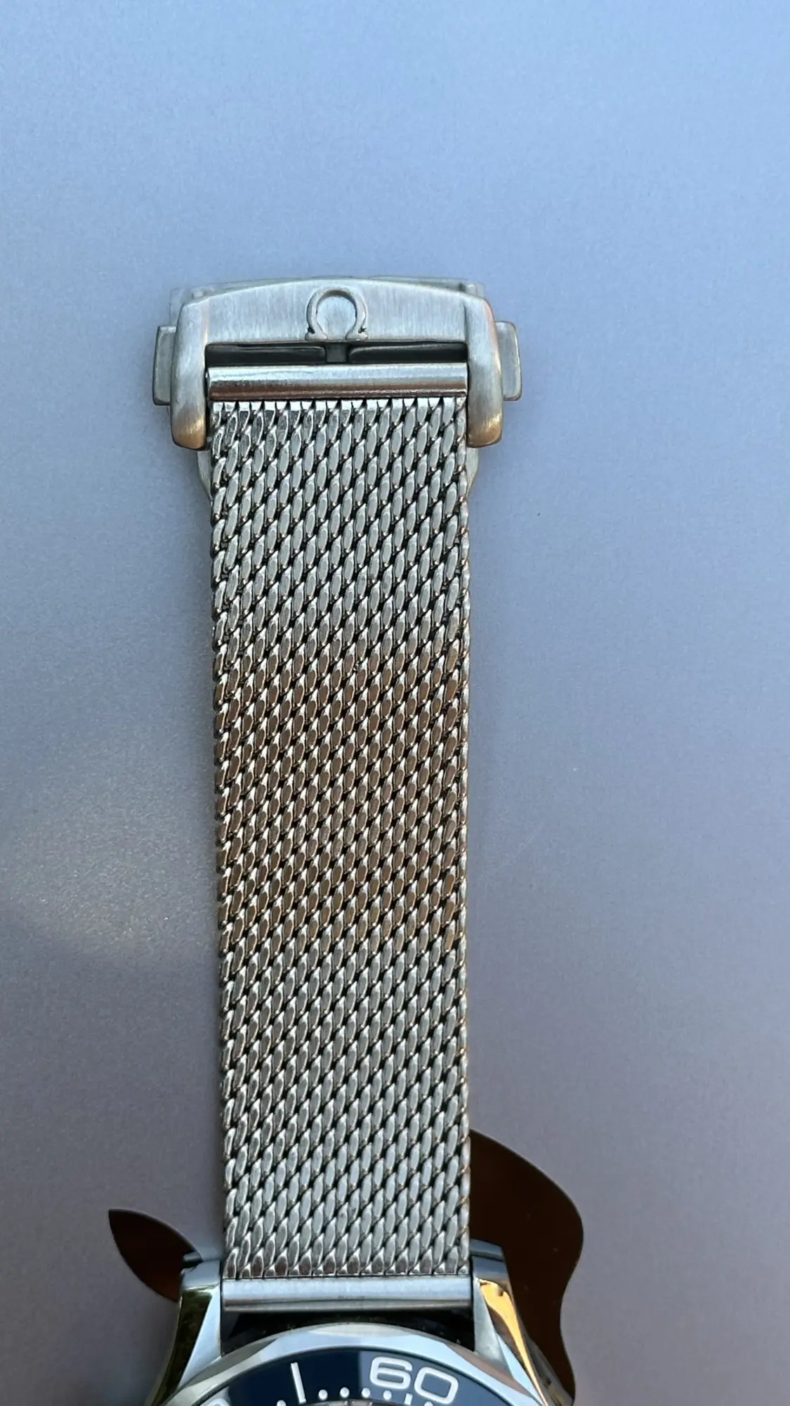 Omega Seamaster Diver