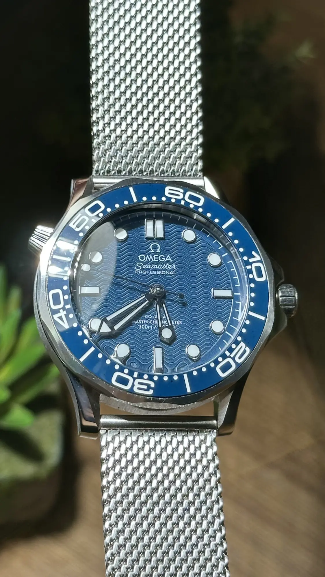 Omega Seamaster
