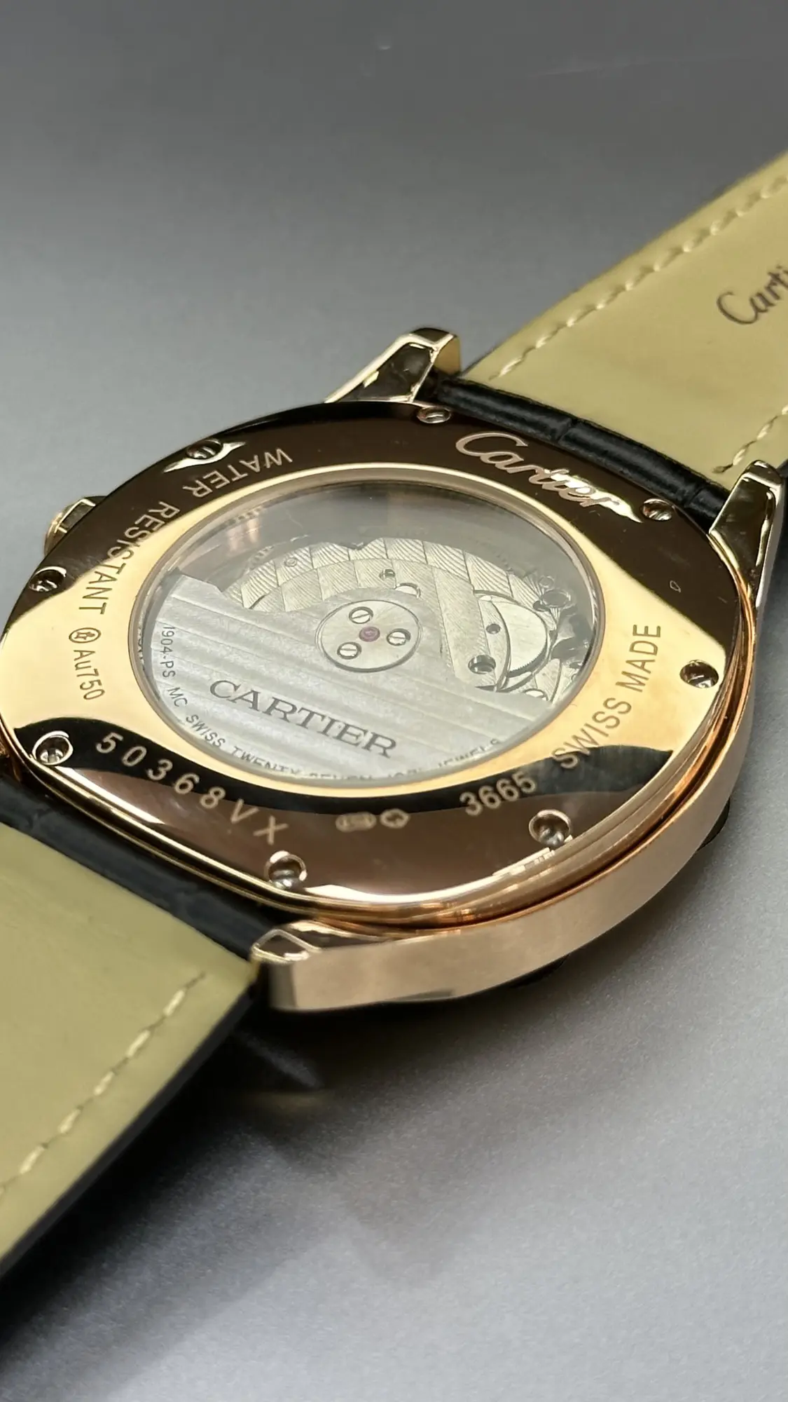 Cartier Drive WGNM0004