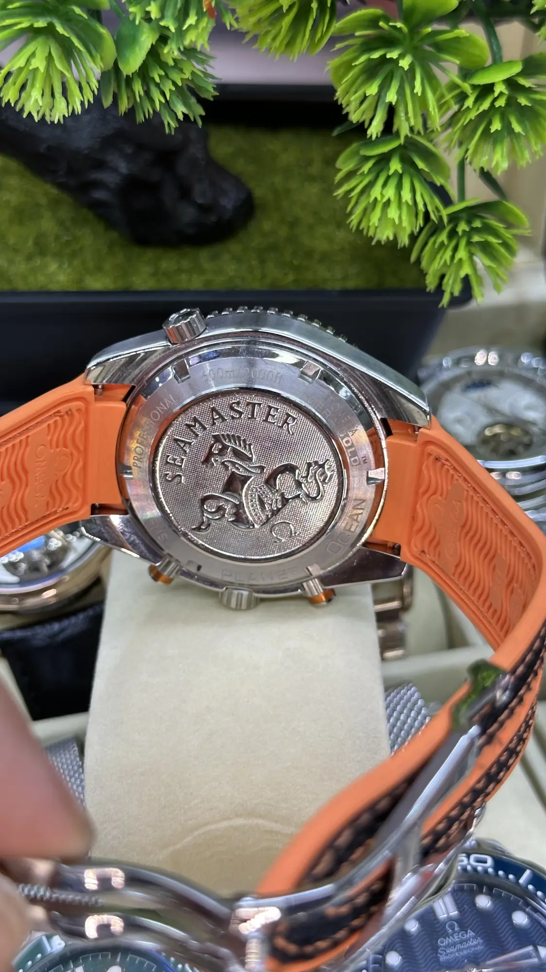 Omega Seamaster  Planet Ocean
