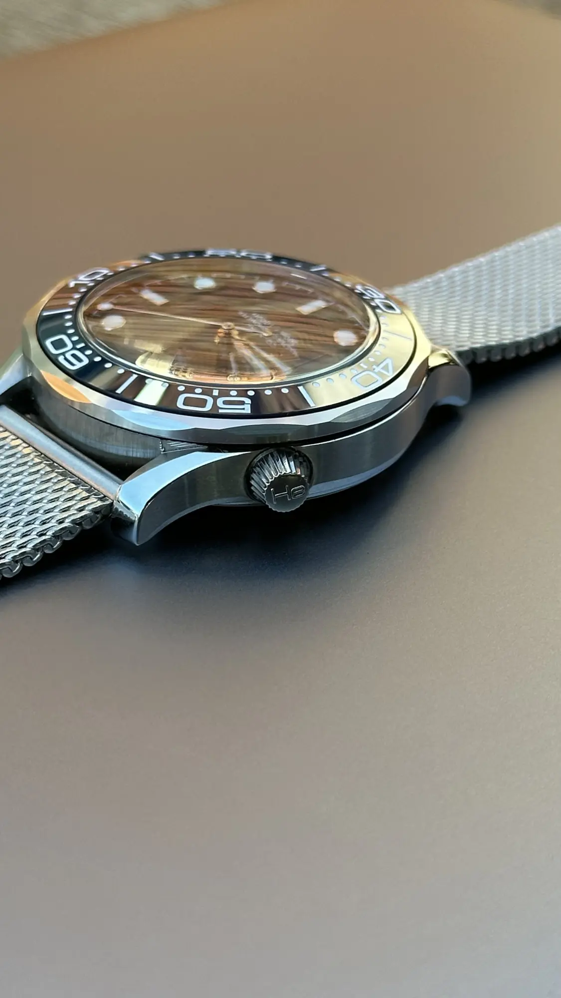 Omega Seamaster Diver