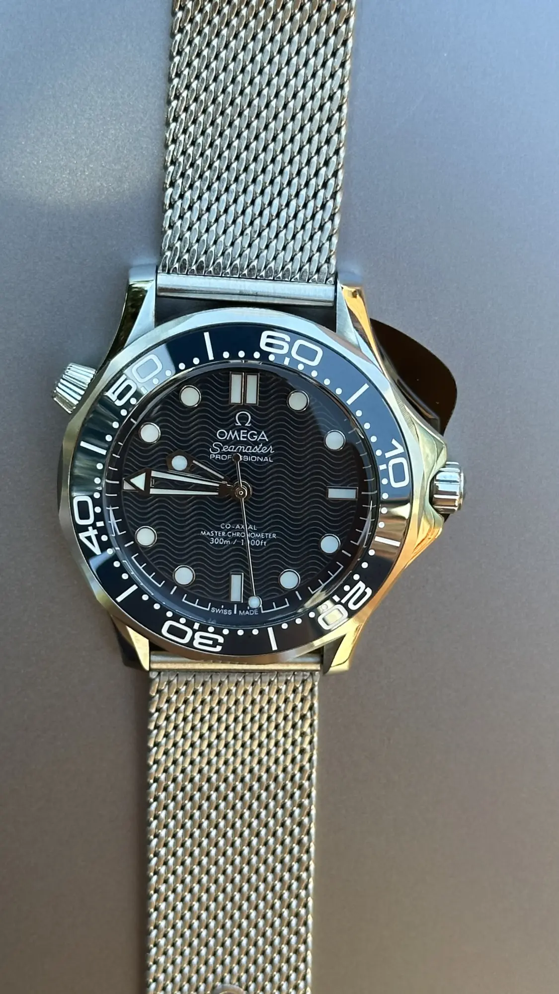 Omega Seamaster Diver