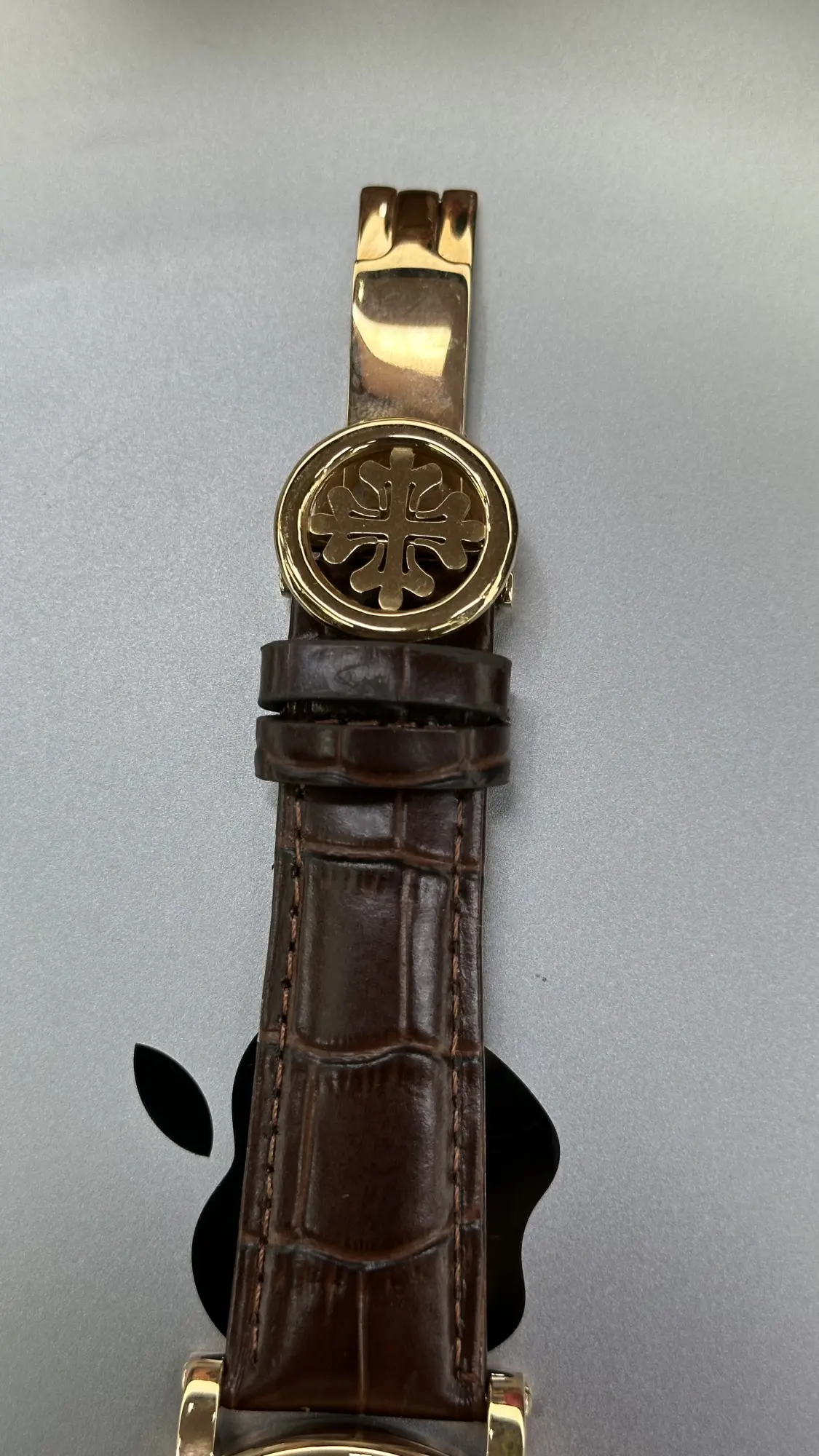 Patek Phillipe Skeleton Transparent Automatic - Correa de cuero